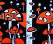 VliegenZwammen Kunstwerk VliegenZwammen