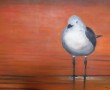 meeuw Kunstwerk meeuw