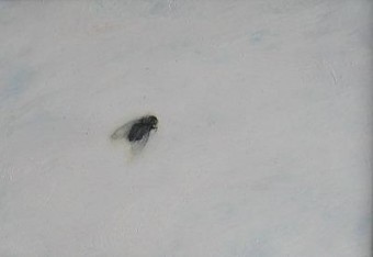 Bzzz Bzzz