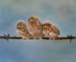 musjes op prikkeldraad Kunstwerk musjes op prikkeldraad