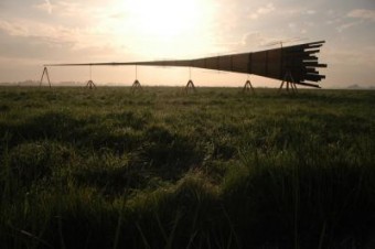 Rijnhoorn Rijnhoorn