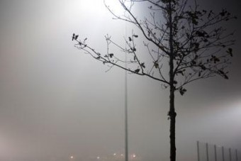 Grey Grey