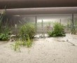 Temporary Landscape 6728 Kunstwerk Temporary Landscape 6728