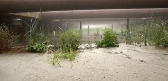 Temporary Landscape 6728 Temporary Landscape 6728