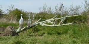 Uit de klei getrokken Uit de klei getrokken