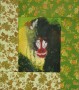 Mandril Kunstwerk Mandril