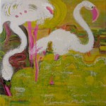 flamingo's flamingo's