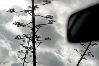Rear View Mirror Rear View Mirror