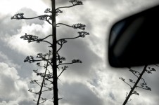 Rear View Mirror Rear View Mirror