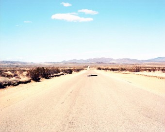 Roadkill Roadkill