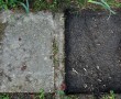 Tegelpad Kunstwerk Tegelpad
