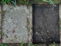 Tegelpad Tegelpad