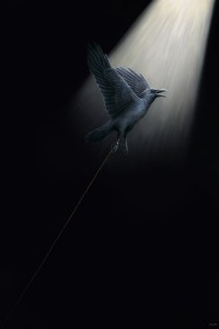 FLIGHT TO HEAVEN FLIGHT TO HEAVEN