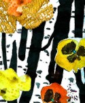 Violas no 2 Violas no 2