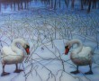 Zwanen in sneeuwlandschap Kunstwerk Zwanen in sneeuwlandschap