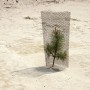 JESgevangenBoompje Kunstwerk JESgevangenBoompje