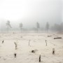 Nieuwe Natuur 1 Kunstwerk Nieuwe Natuur 1