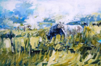 schapen schapen