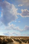 Duinen Duinen