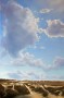 Duinen Kunstwerk Duinen