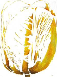 De tulp De tulp