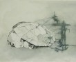 schildpad ingemeten Kunstwerk schildpad ingemeten