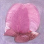 Fuchsia 2 Fuchsia 2
