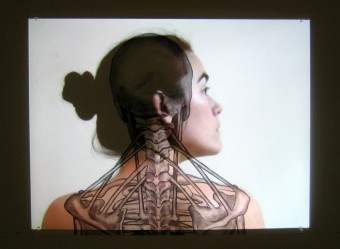 Bodyscan Bodyscan