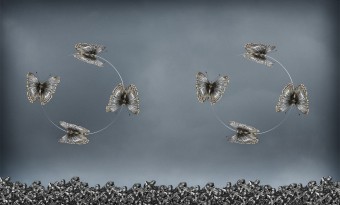 Innerlijke gevomdheden Innerlijke gevomdheden