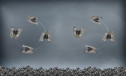 Innerlijke gevomdheden Innerlijke gevomdheden