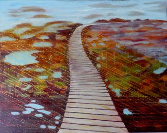Humpridge Track Humpridge Track