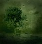 HEIMAT Boom 2 nacht Kunstwerk HEIMAT Boom 2 nacht