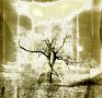 HEIMAT Boom 1 Kunstwerk HEIMAT Boom 1