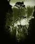 HEIMAT Boom 3 Rots Kunstwerk HEIMAT Boom 3 Rots