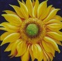 SUNNY FLOWER Kunstwerk SUNNY FLOWER