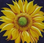 SUNNY FLOWER SUNNY FLOWER