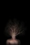 Tree of life  Kunstwerk Tree of life