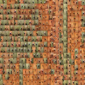 Climbing Wall Climbing Wall