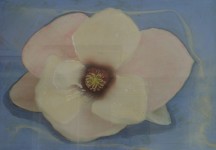 flower 2 - Spring for one day flower 2 - Spring for one day