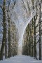 de kathedraal (winter) Kunstwerk de kathedraal (winter)