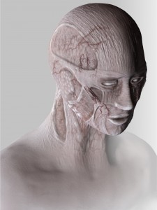 Tabula rasa imaginary anatomy Tabula rasa imaginary anatomy
