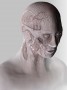Tabula rasa imaginary anatomy Kunstwerk Tabula rasa imaginary anatomy
