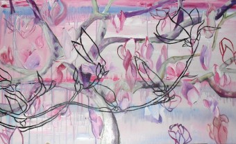 magnolia magnolia
