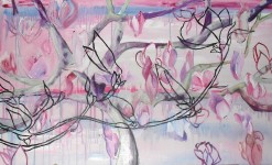 magnolia magnolia