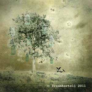 © TraumKartell  boomkooien © TraumKartell  boomkooien