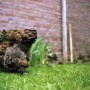 Sint Anna Kunstwerk Sint Anna