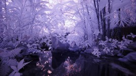Hortus 00190 Hortus 00190