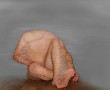 Botany Kunstwerk Botany