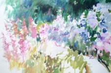 de tuin de tuin