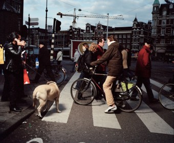 Crossing Amsterdam